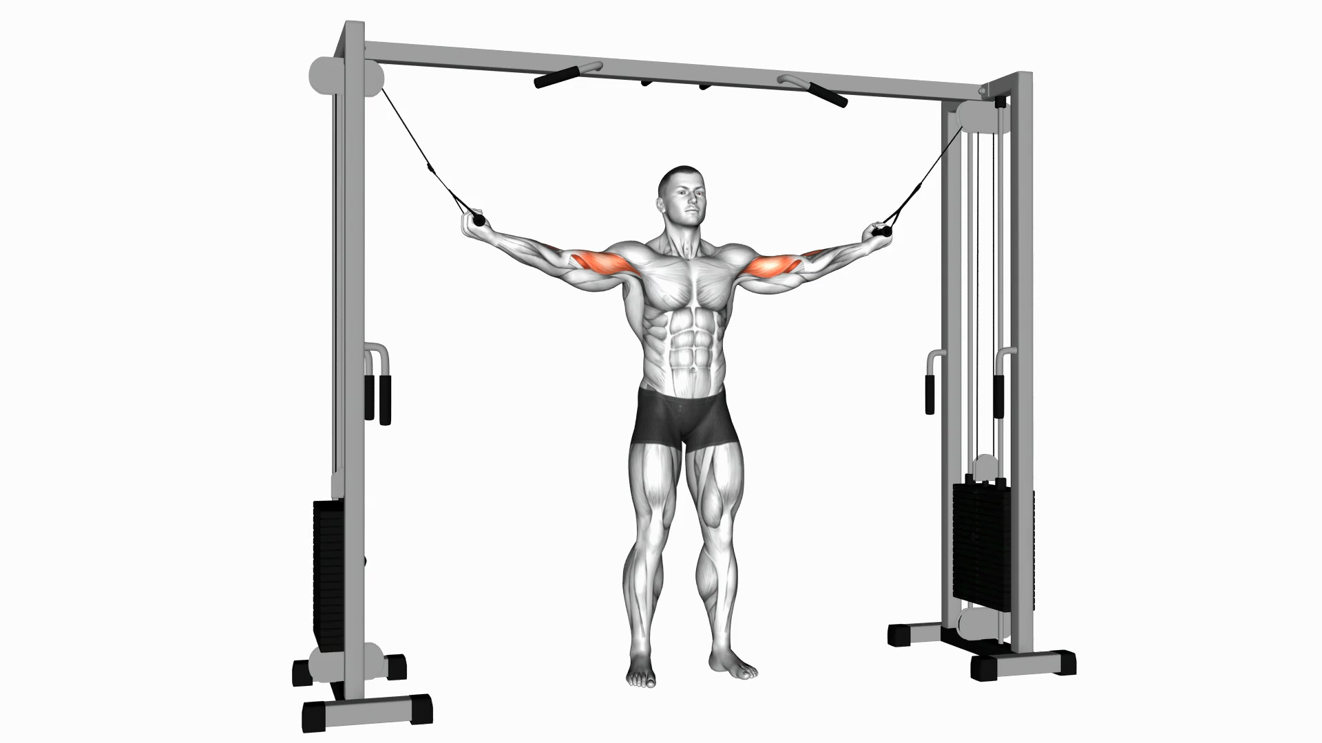  Cable Standing Inner Curl