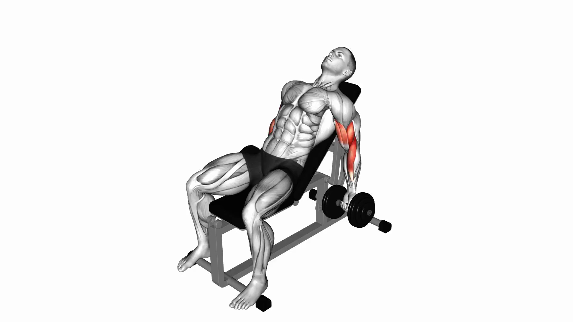 Dumbbell Incline Curl