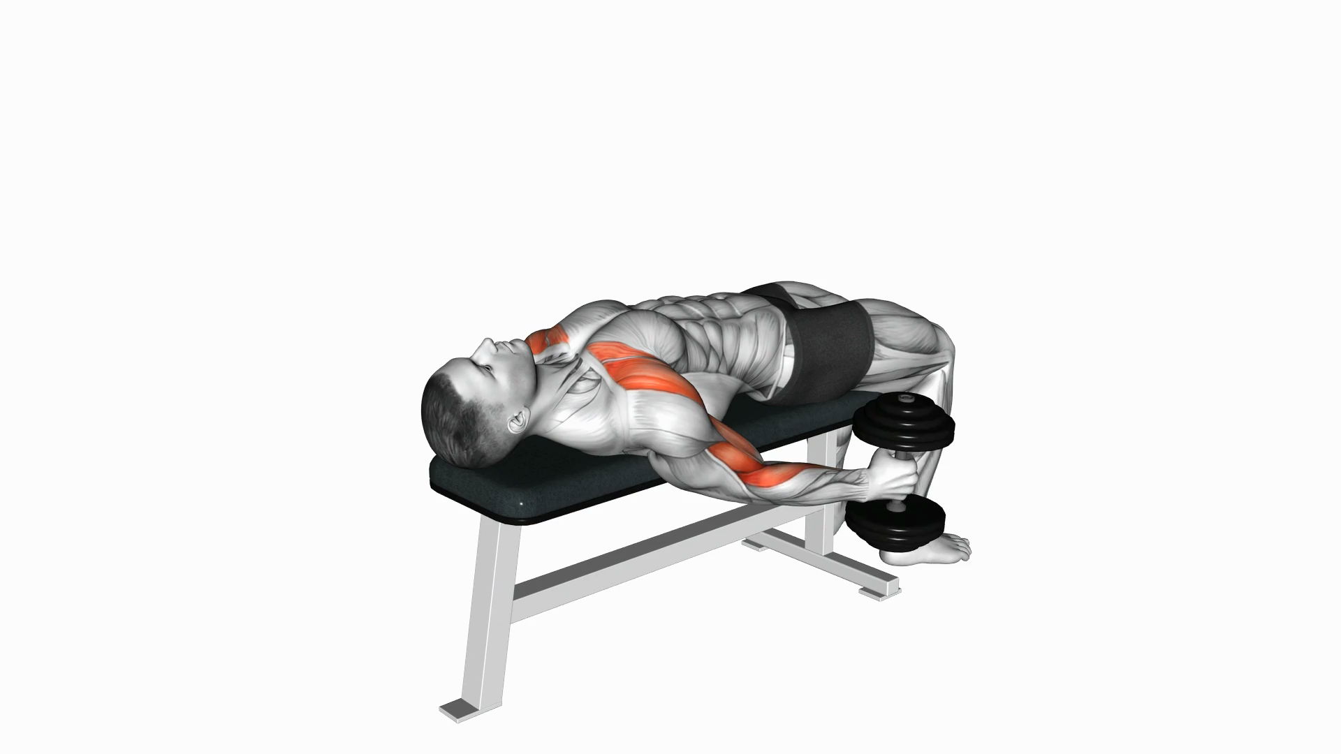Lying Supine Dumbbell Curl
