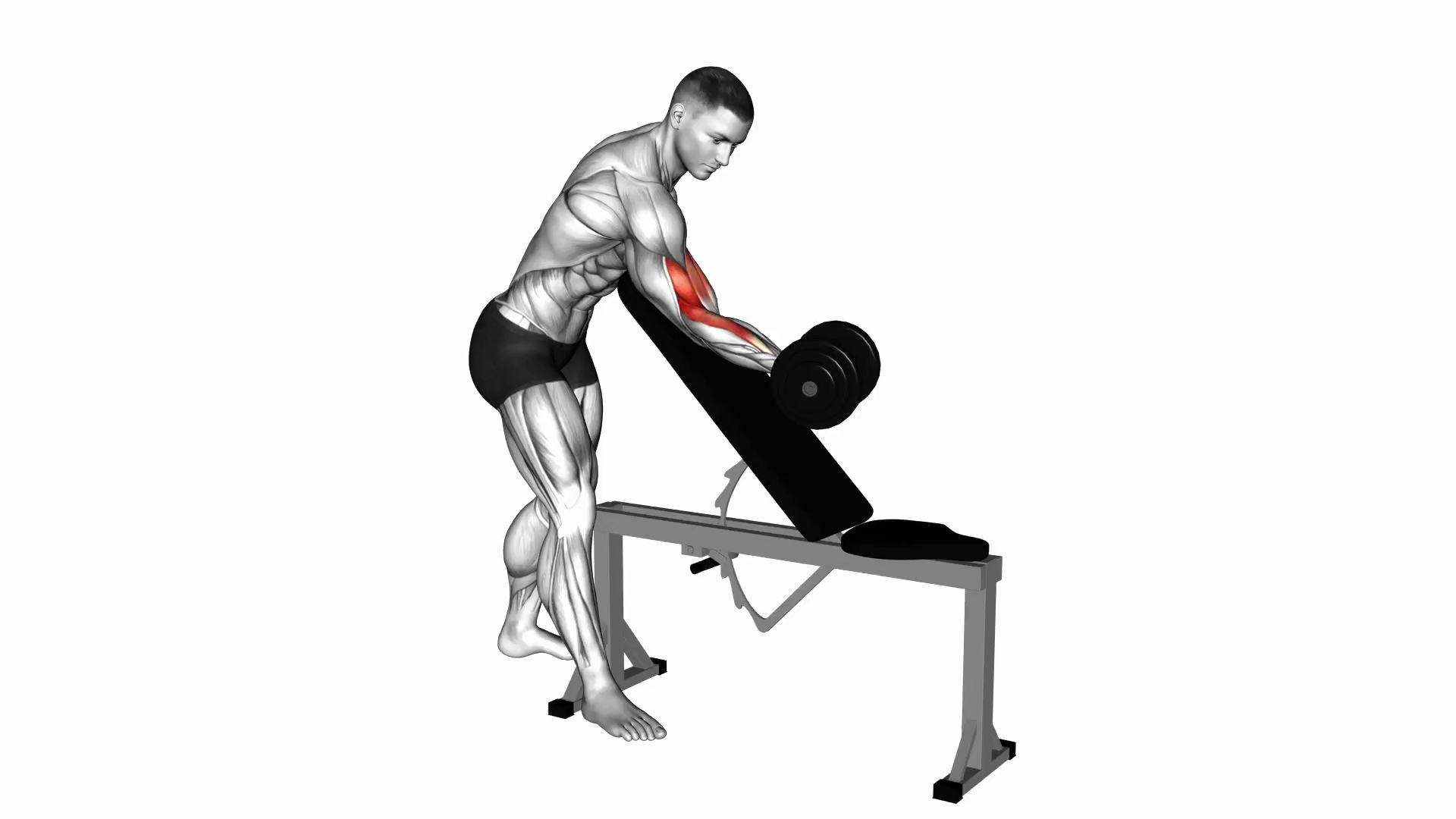 Dumbbell One Arm Zottman Preacher Curl