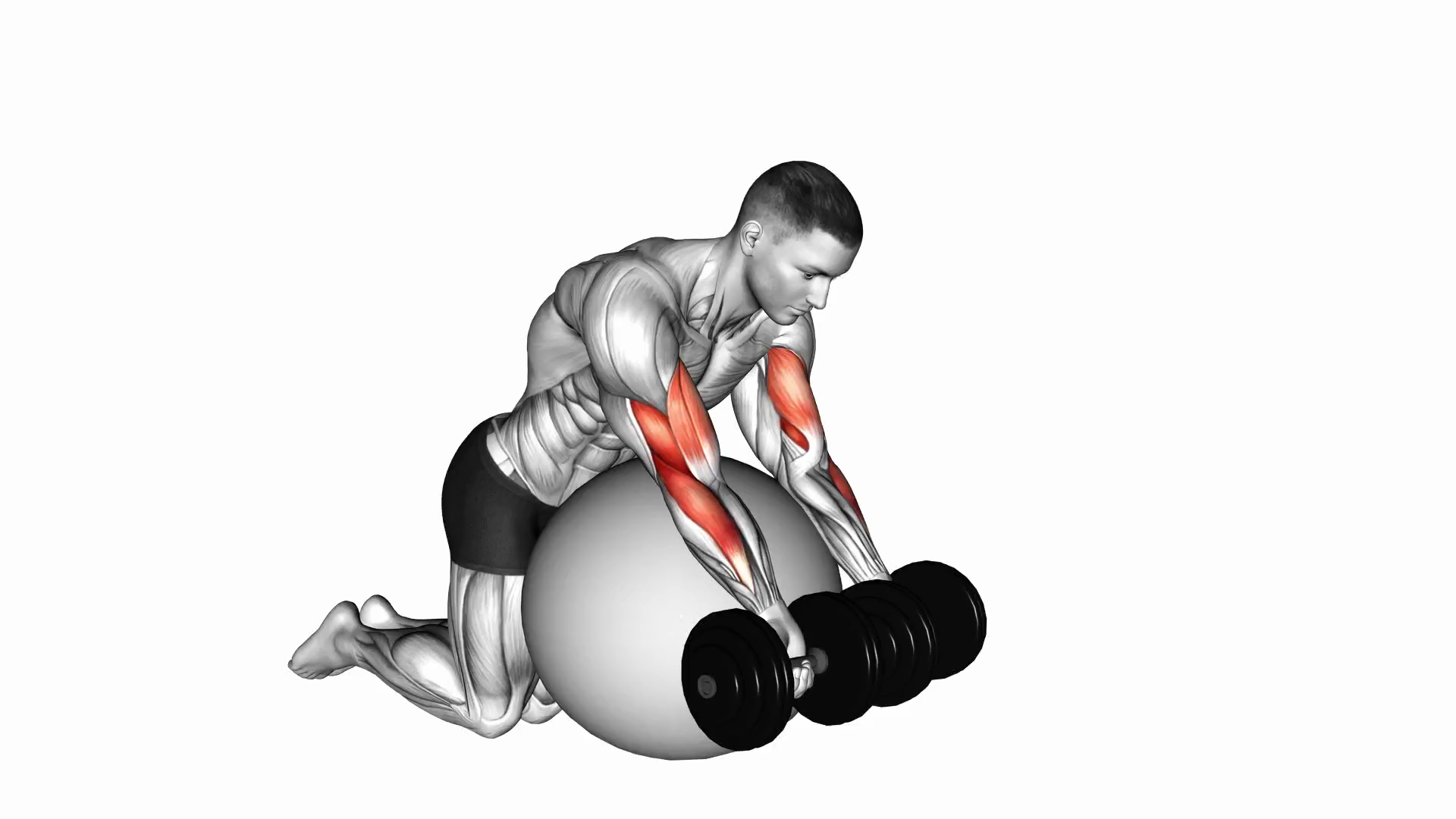 Dumbbell Preacher Curl Over Exercise Ball