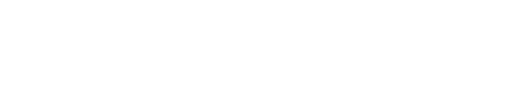 Deep Face Swap logo