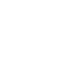 Essay Writer icon