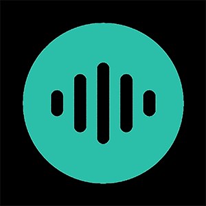 EchoVoiceAI logo