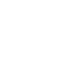 Face Swap icon