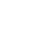 News icon