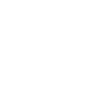Travel icon