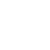 Voice Changer icon