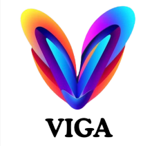 Viga Education Academy