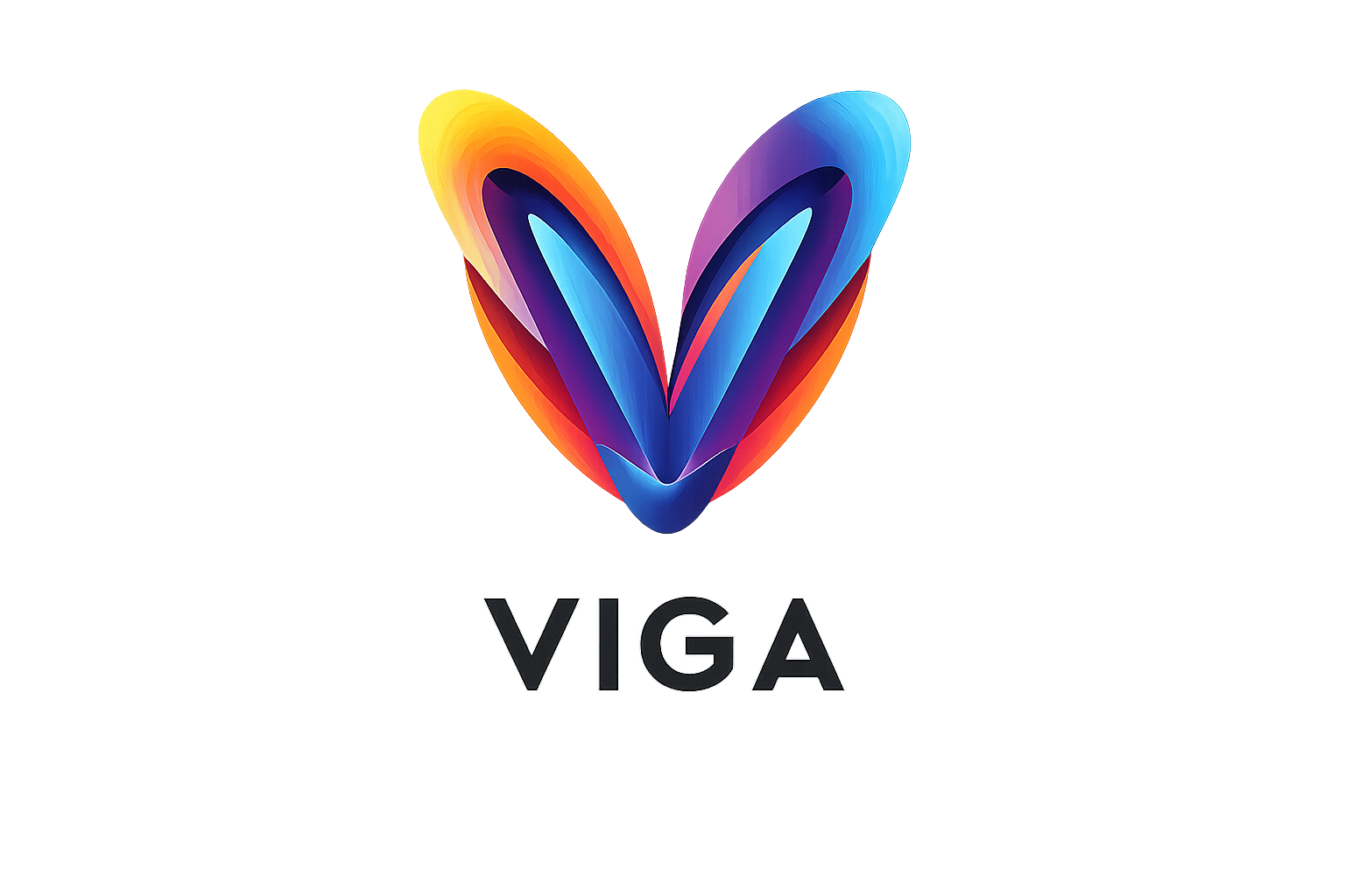 Viga Education Academy