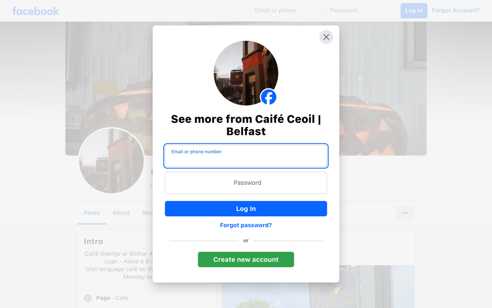 Website screenshot of Caifé Ceoil