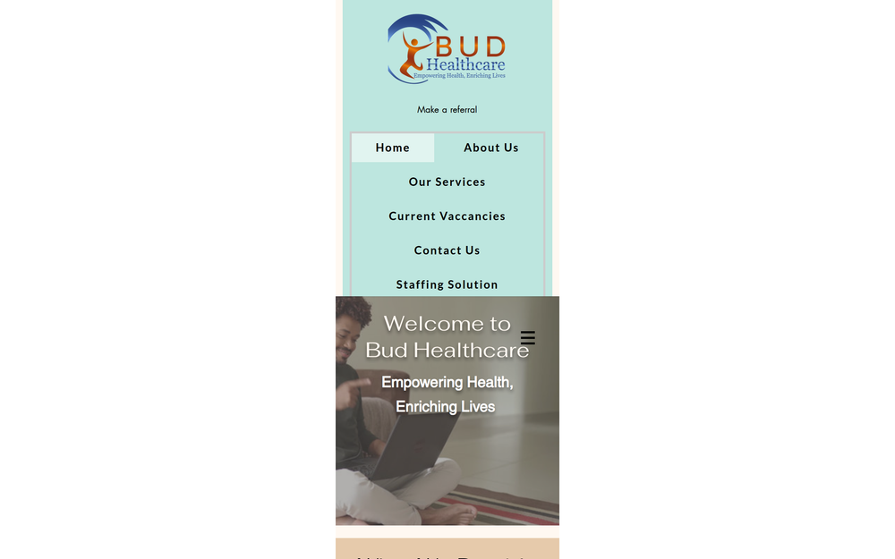 Website screenshot of Bud HealthCare