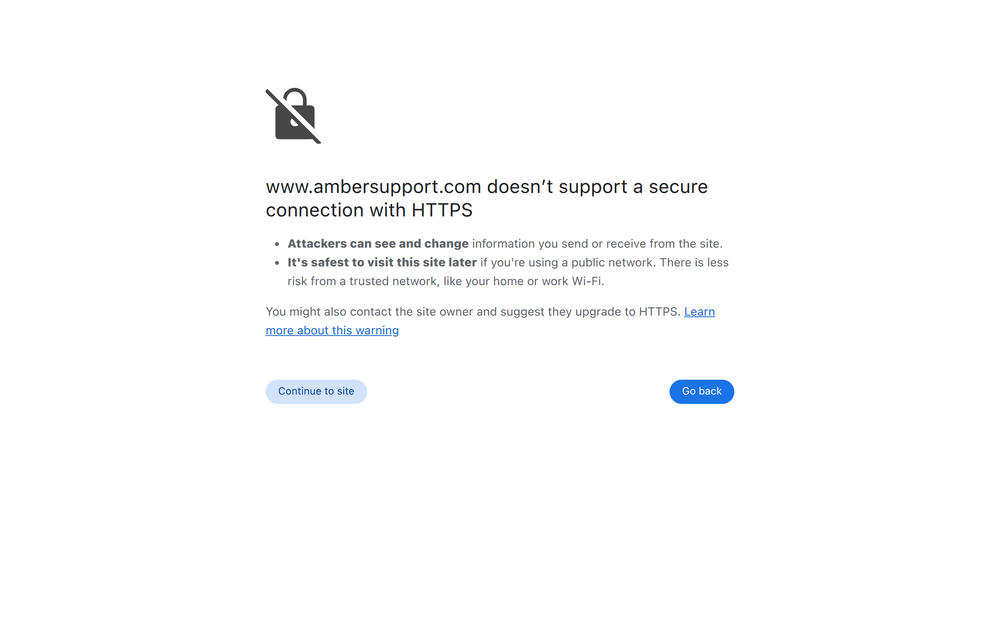 Website screenshot of Amber Support Solutions