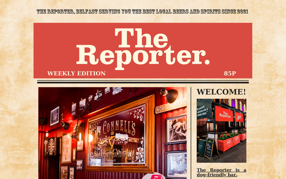 Website screenshot of The Reporter