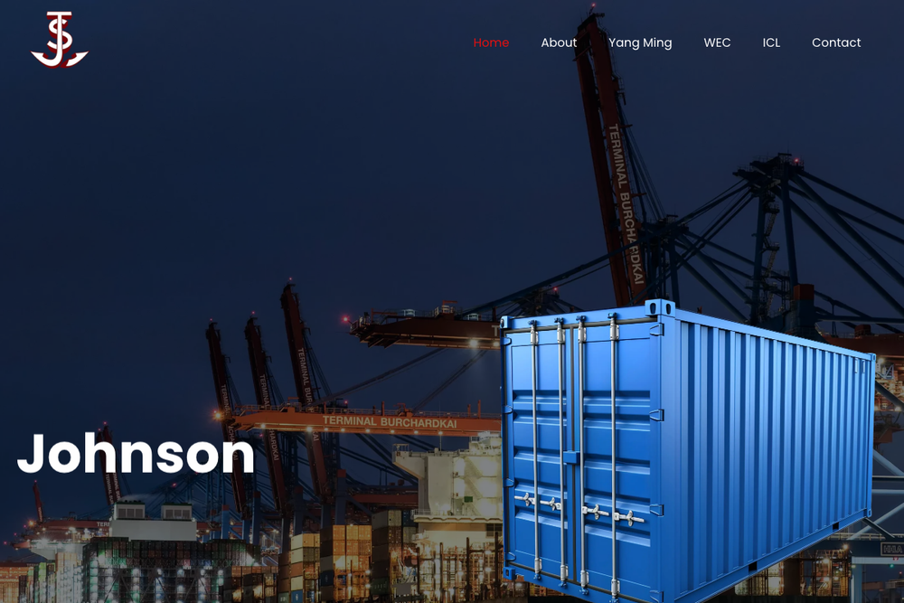 Website screenshot of Johnson Stevens (NI)