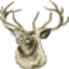 icon of The Deer's Head icon of The Deer's Head