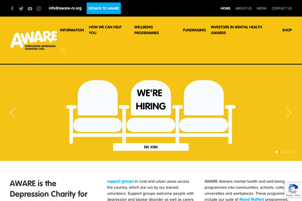 Website screenshot of AWARE NI