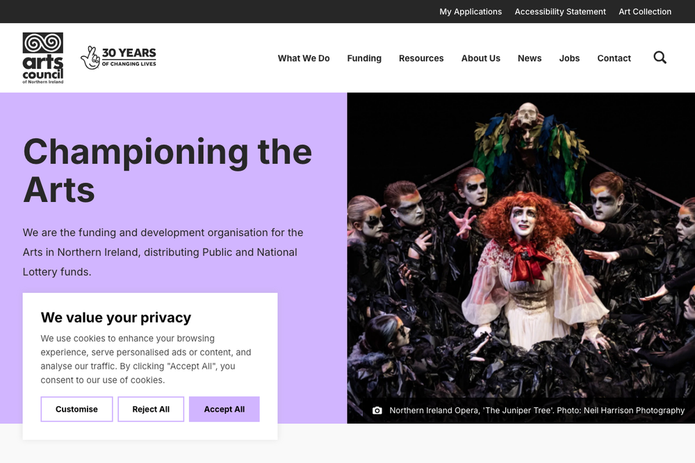 Website screenshot of The Arts Council of Northern Ireland