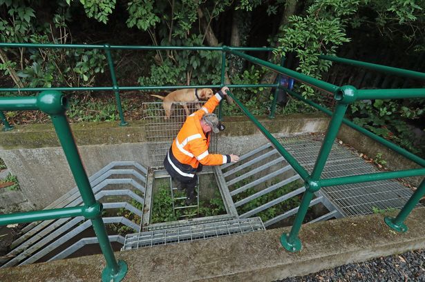 Inquest Finds Culvert Access Failings Possible Factor in Noah Donohoe's Death Inquest Finds Culvert Access Failings Possible Factor in Noah Donohoe's Death
