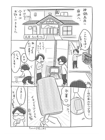 農家民宿のアイスキャンデー『農家の氷菓』