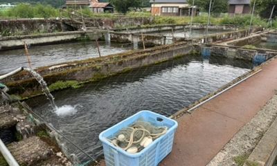 神鍋養鱒場