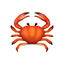 icon of claw.fm