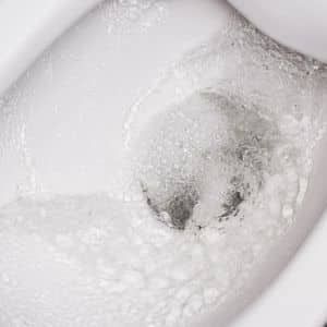 Double-Cyclone-Flush-System