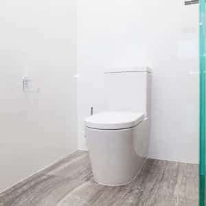P-Trap-Toilet-Bowl