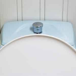 Flush-Button-Issue