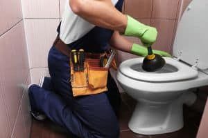 Toilet Flush Repair Services