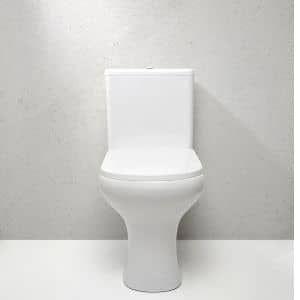 1-Piece-Toilet