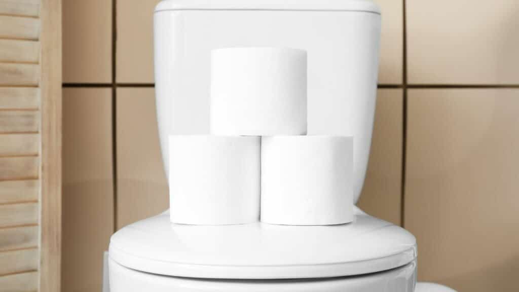 Tips-to-Maintain-Your-Toilet-Flush-System