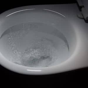 Double-Flush