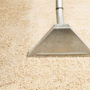 Hot Water Extraction Carpet Cleaning