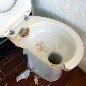 Toilet Bowl Concerns