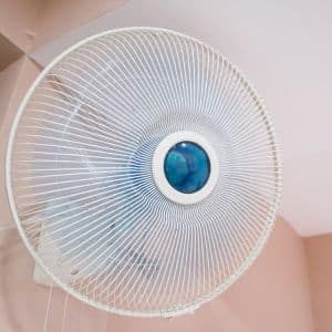 Oscillating-Wall-Fans