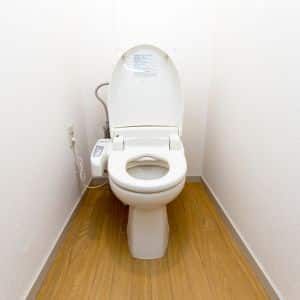 S-Trap-Toilet-Bowls