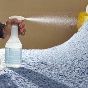 Professional Carpet Spot Removal