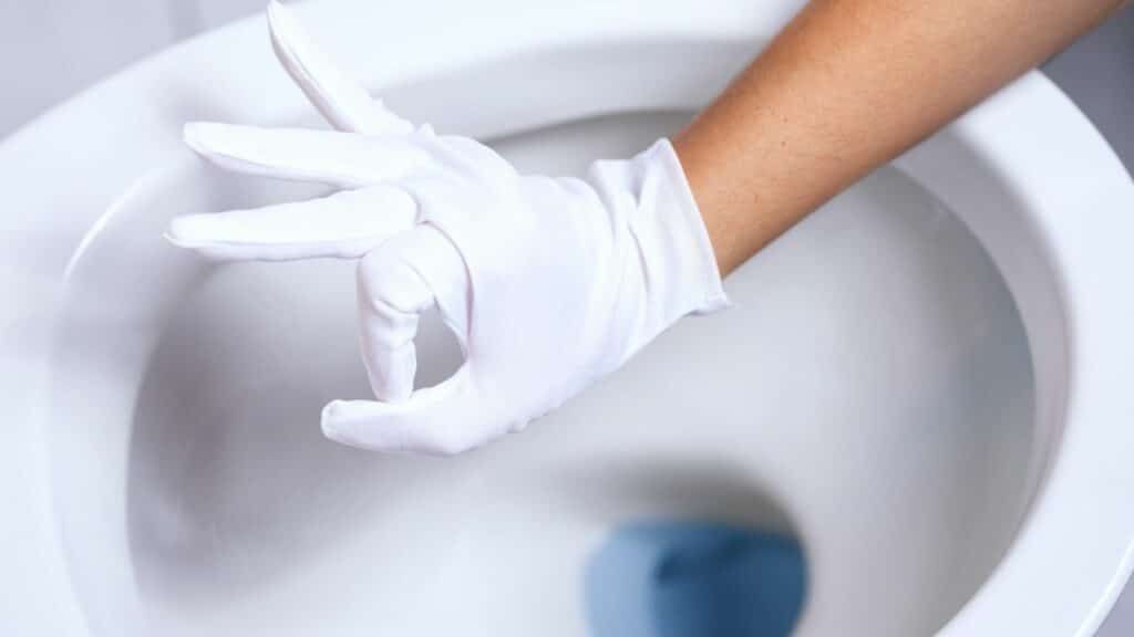 Tips-to-Maintain-Your-Toilet-Bowl