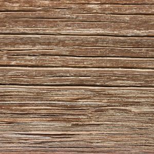 SPLITS & CRACKS IN WOOD