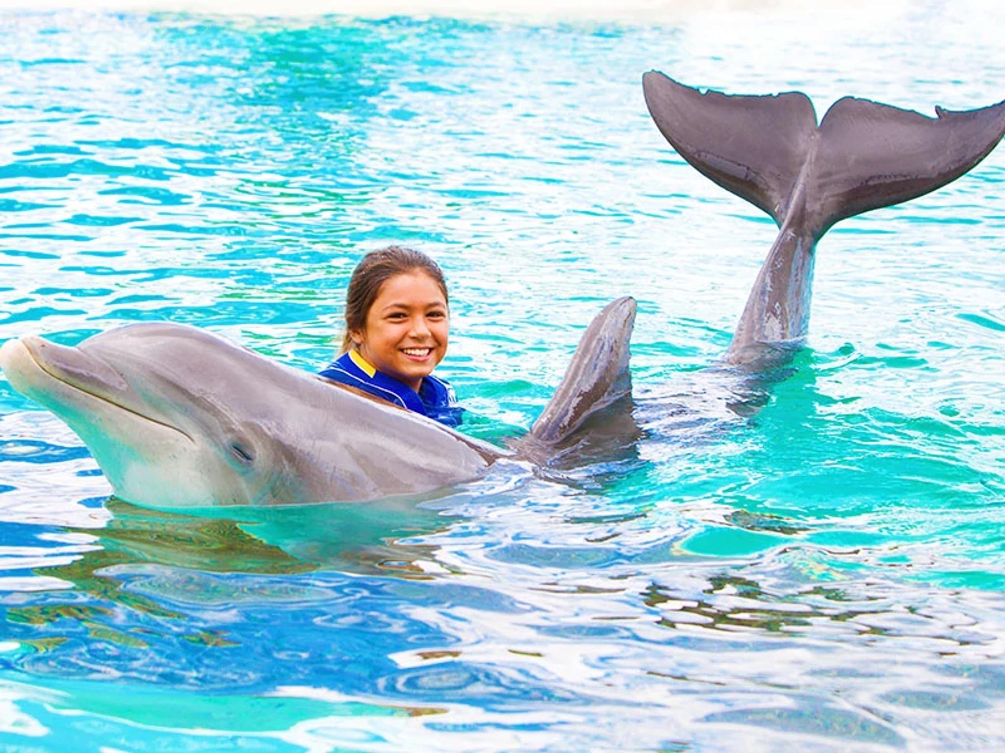 Dolphin Exploration
