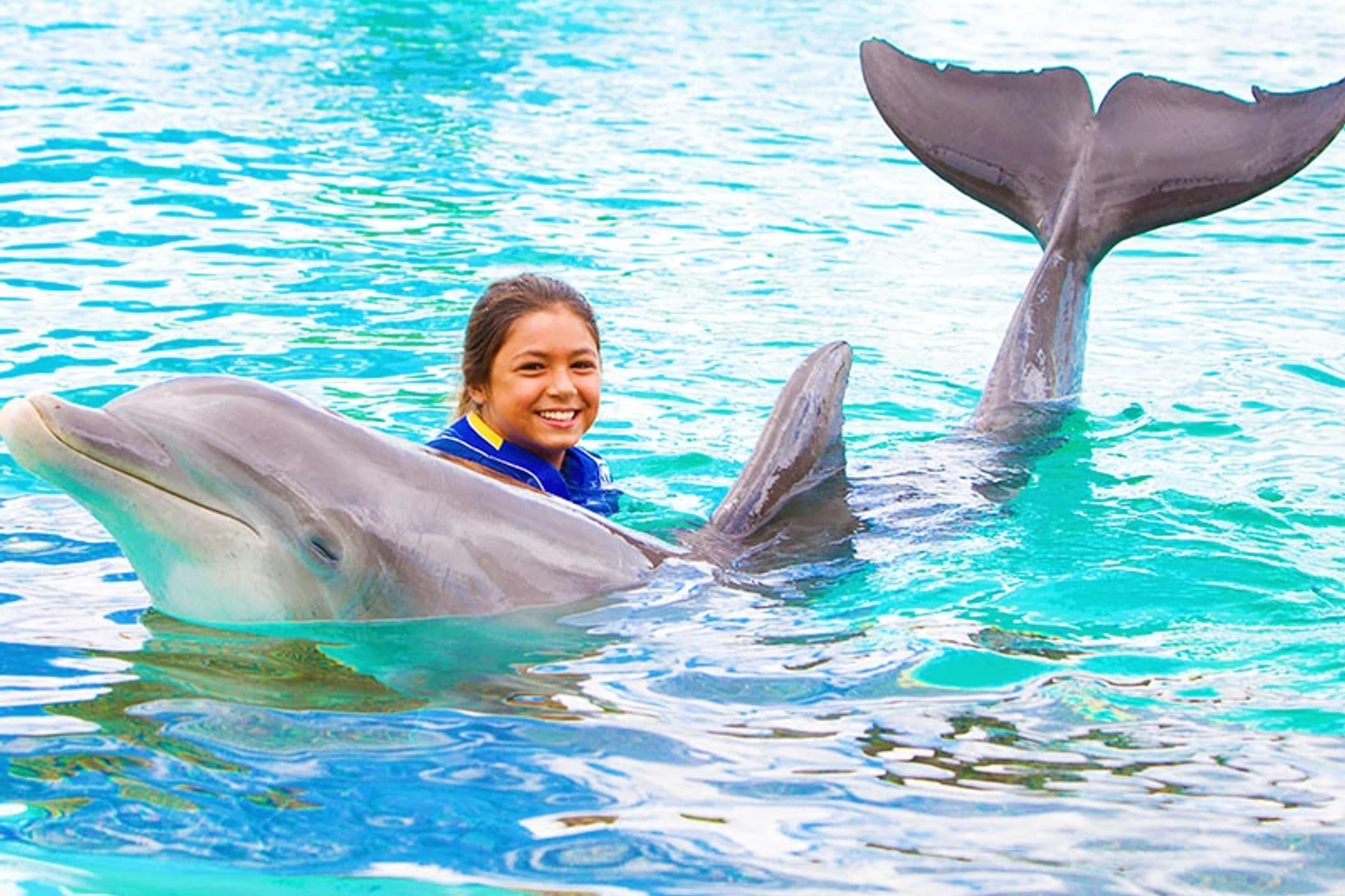Dolphin Exploration