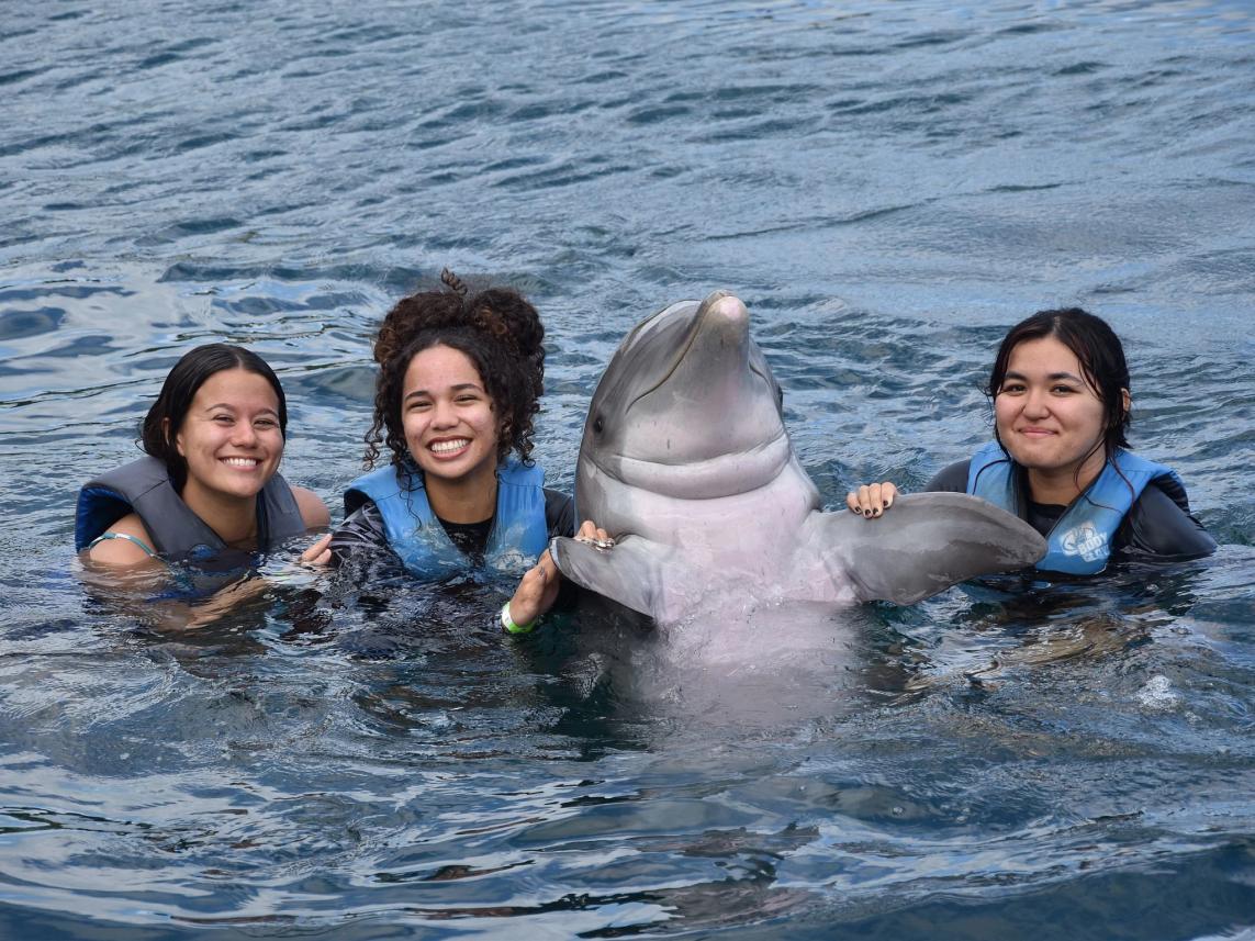 Guests meeting a dolphin at Sea Life Park