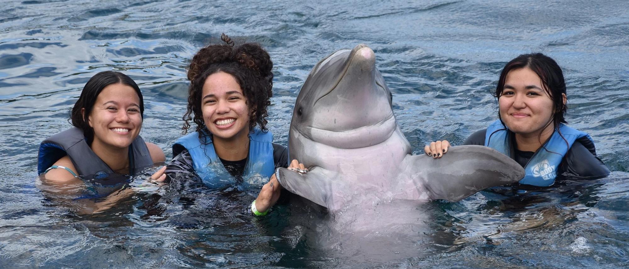 Guests meeting a dolphin at Sea Life Park
