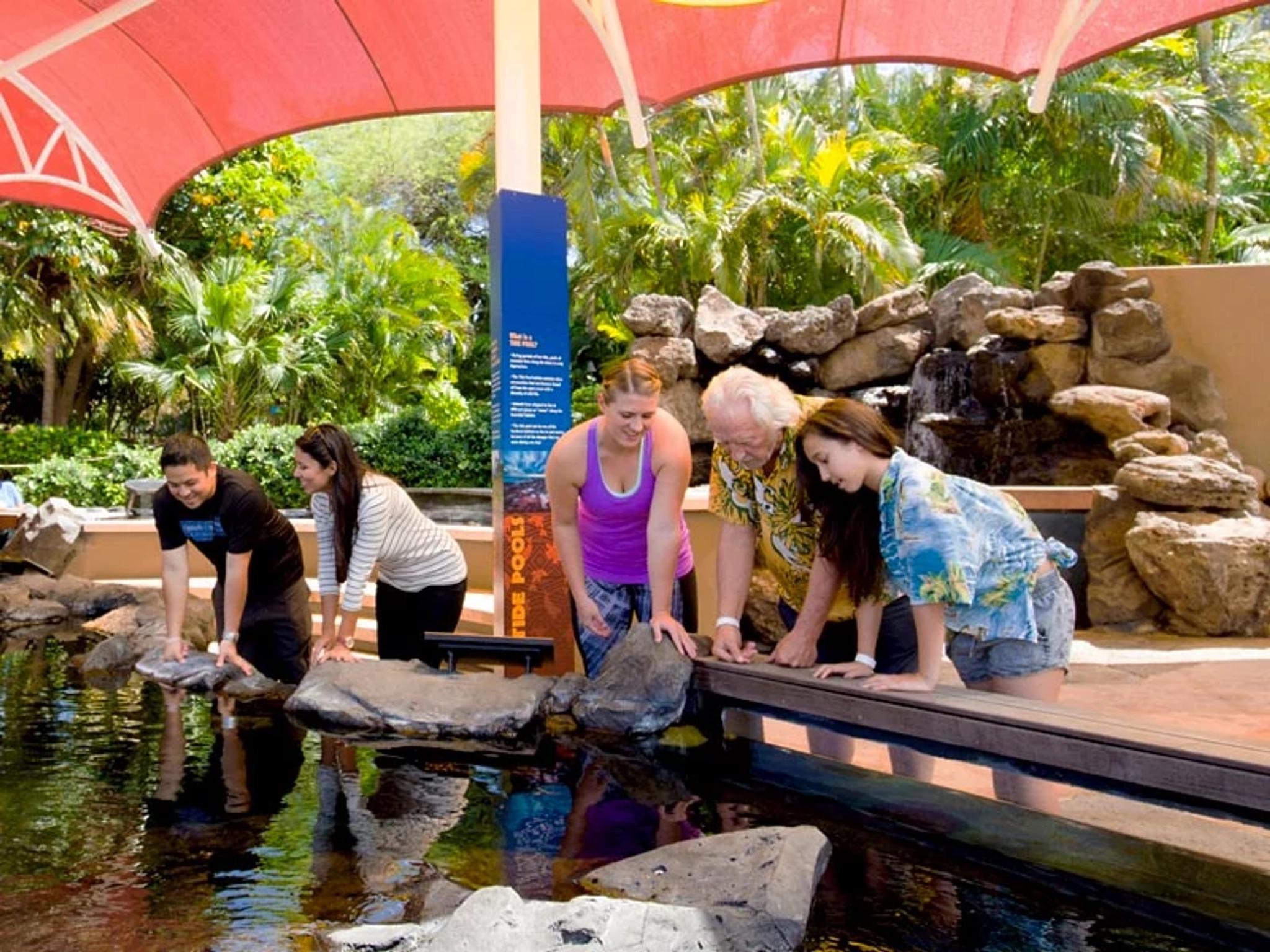 Discovery Reef Pool