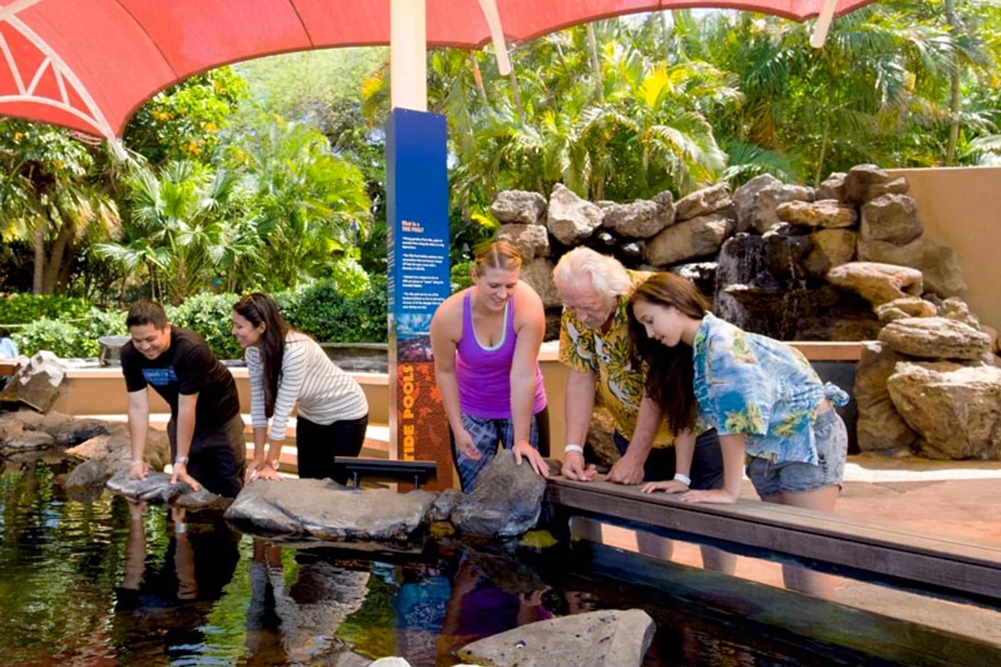 Discovery Reef Pool
