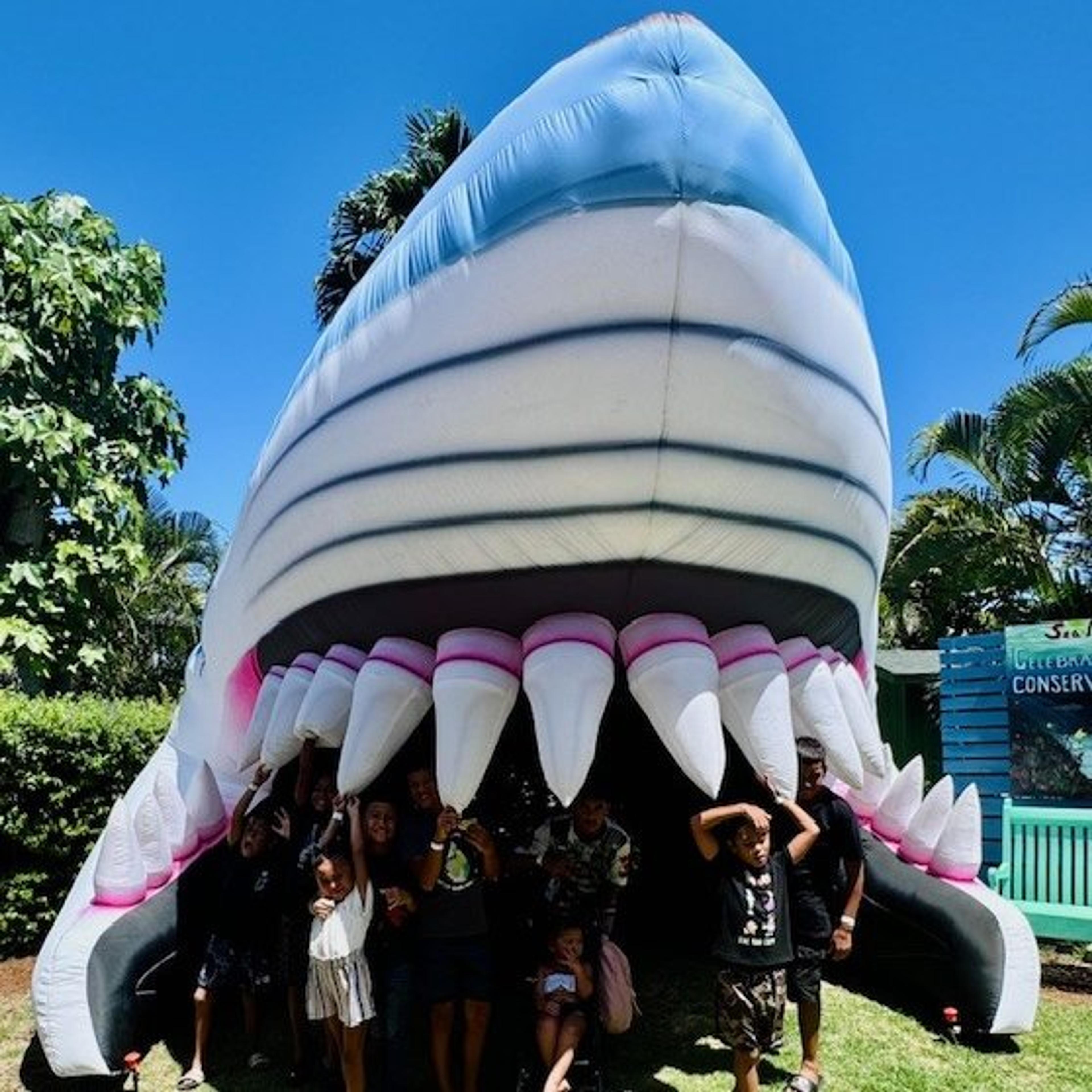 Keiki inside an inflatable shark head
