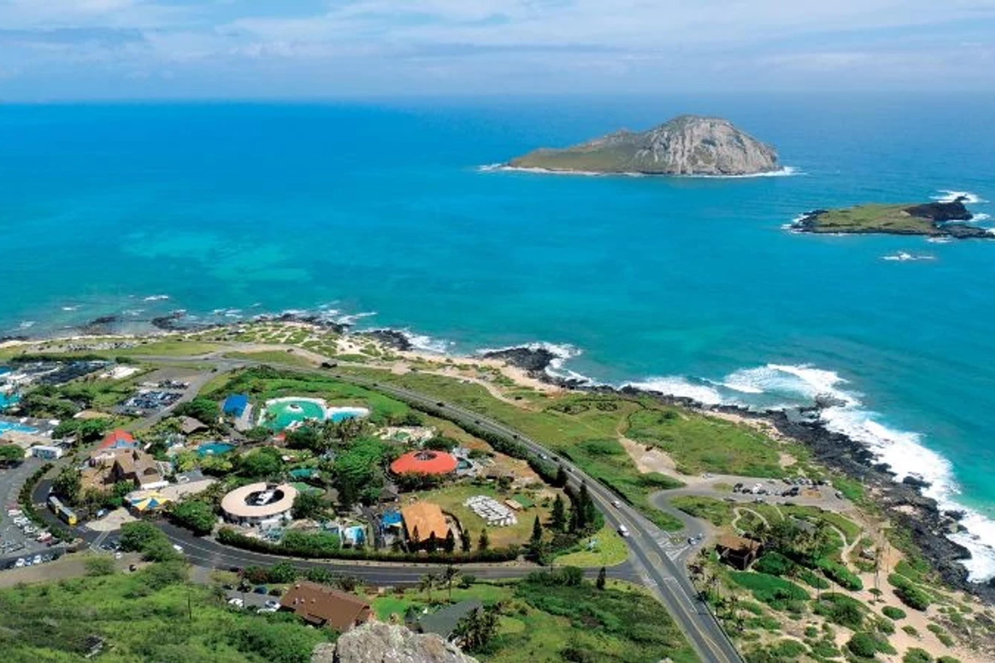 Discover Family Friendly Activities & Attractions on East Oʻahu