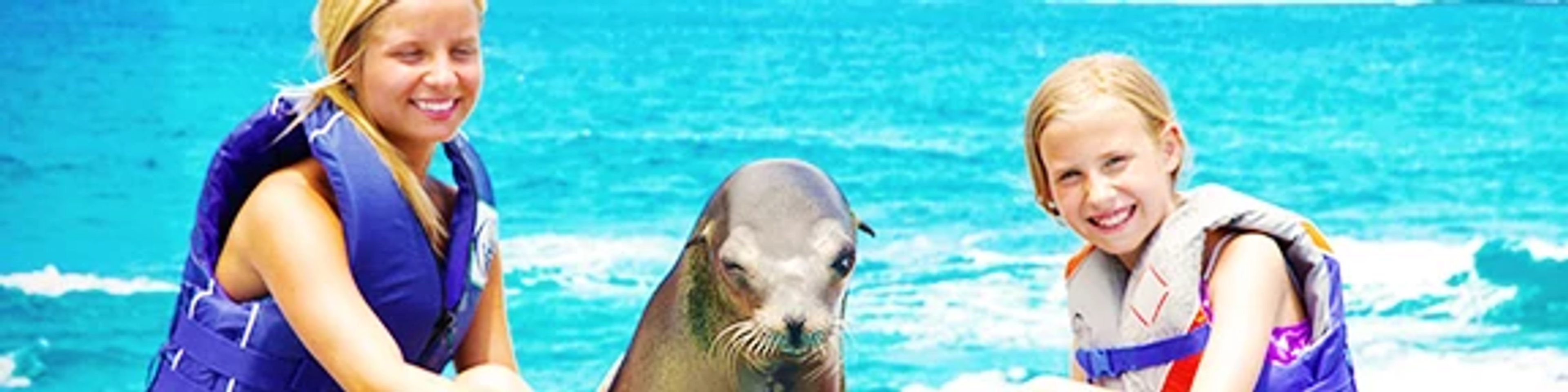 Animal Profiles