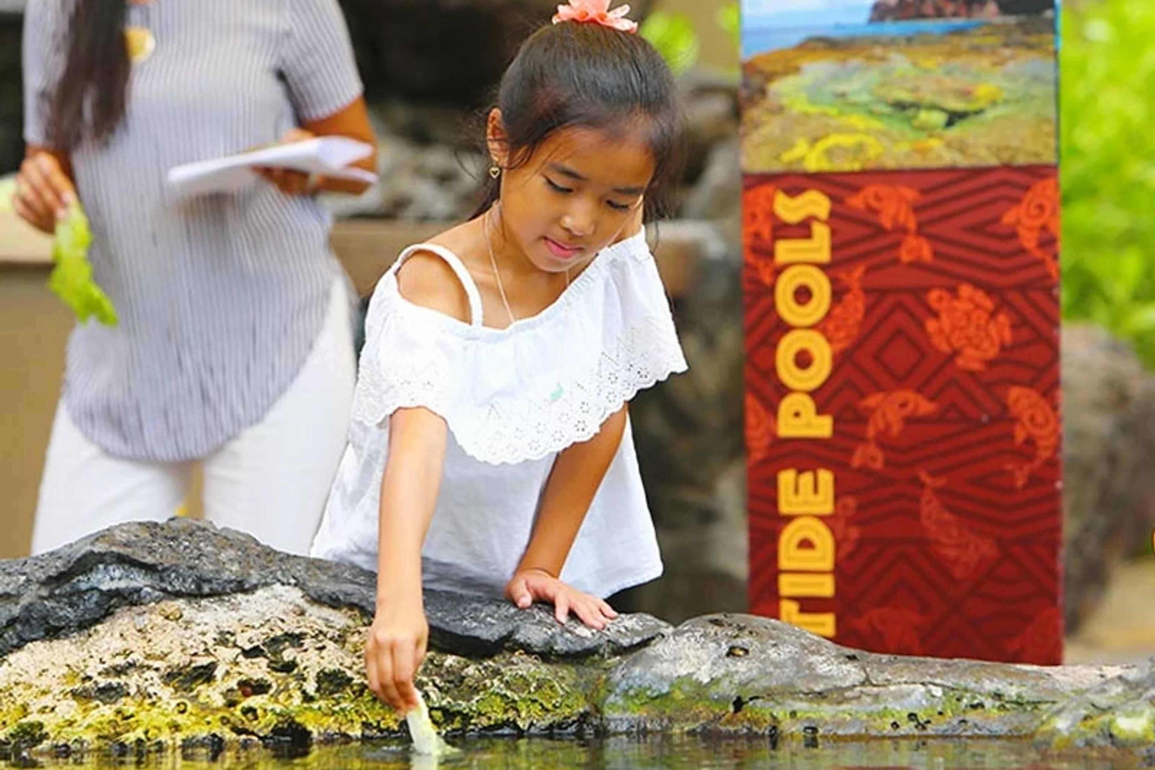 Kama`aina Admission